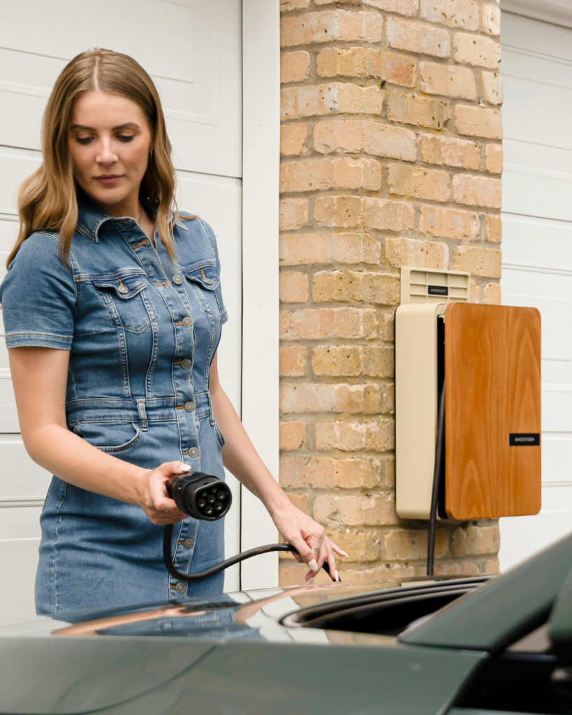 subsidie EV auto - transscope.nl